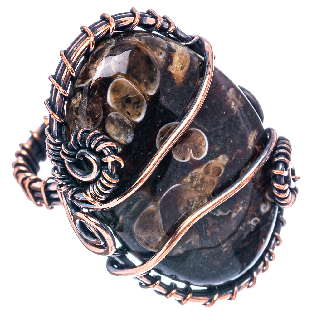 Turritella Agate Wire Wrap Ring Size 5 (Oxidized Copper)