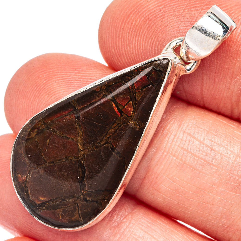 Rare Ammolite Pendant 1 1/2" (925 Sterling Silver) P43461