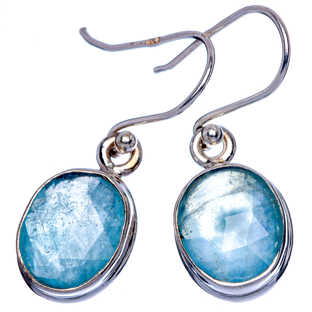 Aquamarine Earrings 1 1/8" (925 Sterling Silver) E433173