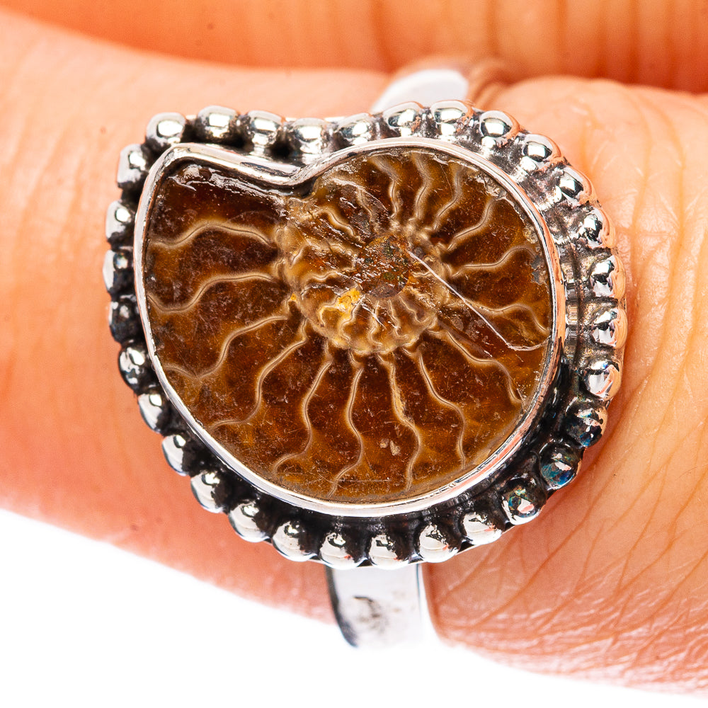 Ammonite Fossil 925 Sterling Silver Ring Size 7 (925 Sterling Silver) R3846