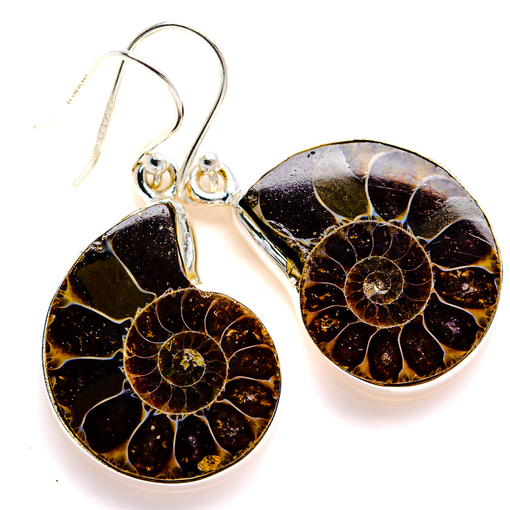 Ammonite Fossil Earrings 1 1/2" (925 Sterling Silver) EARR432104