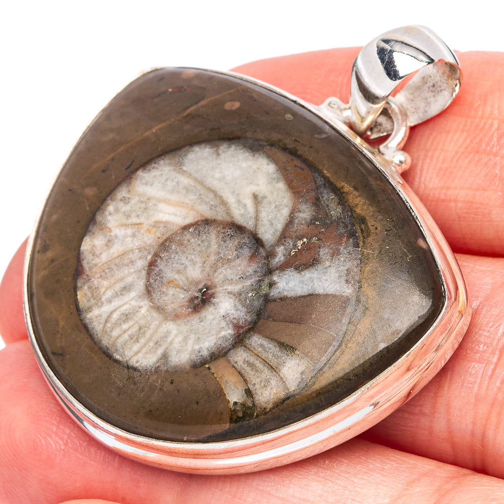 Goniatite Fossil Pendant 1 5/8" (925 Sterling Silver) P43384