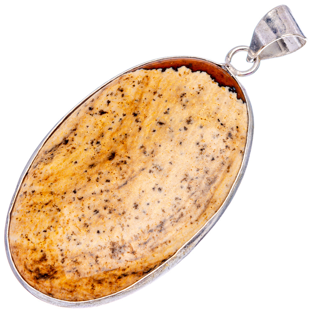 Picture Jasper Pendant 2 1/4" (Silver Plated)