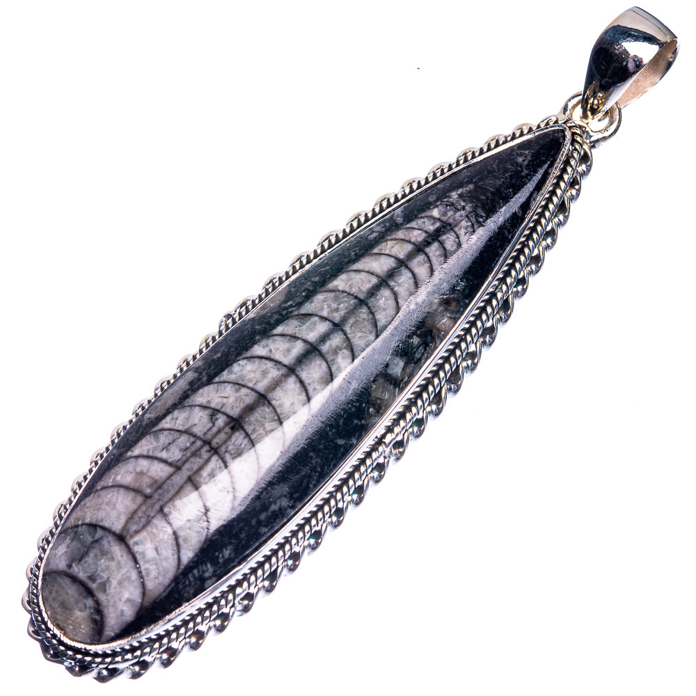 Huge Orthoceras Fossil 925 Sterling Silver Pendant 3 1/4"