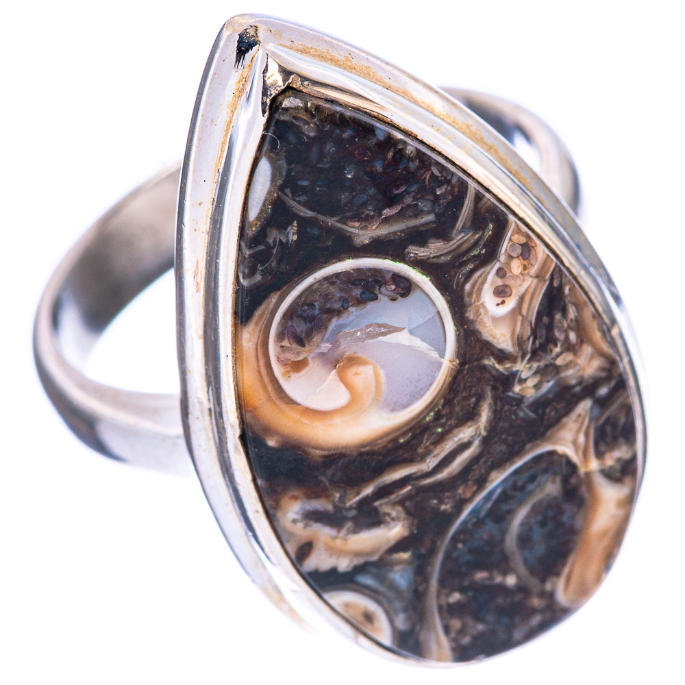 Turritella Agate Ring Size 5.75 (925 Sterling Silver) R1674