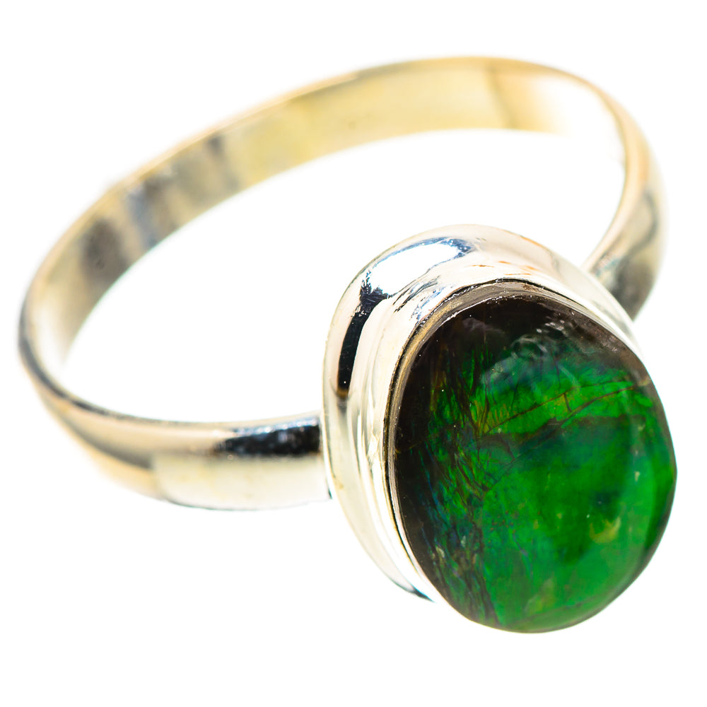 Canadian Ammolite Ring Size 10.75 (925 Sterling Silver) RING139047