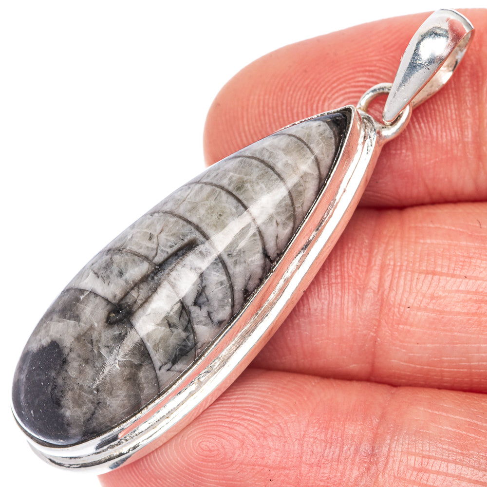 Orthoceras Fossil Pendant 1 7/8" (925 Sterling Silver) P40808