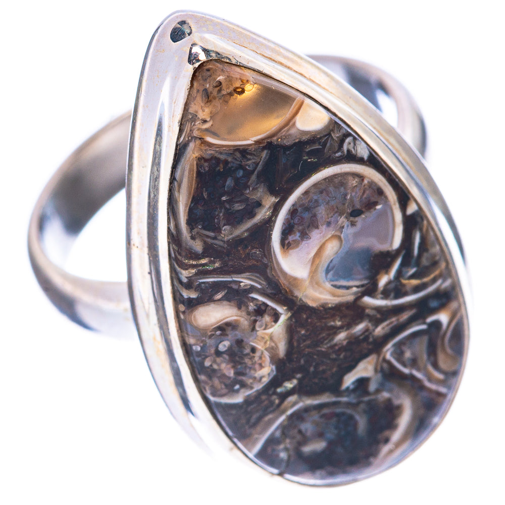 Turritella Agate Ring Size 6 (925 Sterling Silver) R1676