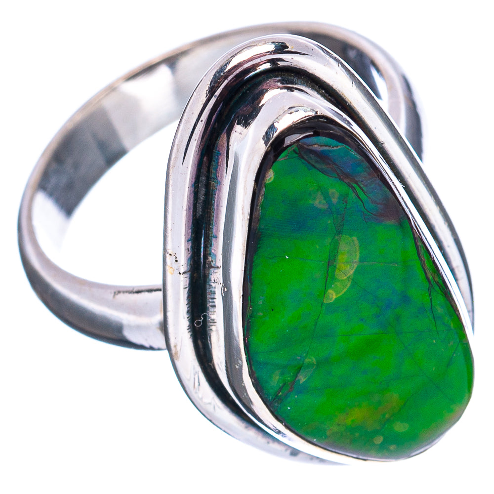 Premium Canadian Ammolite Ring Size 6 (.925 Sterling Silver)