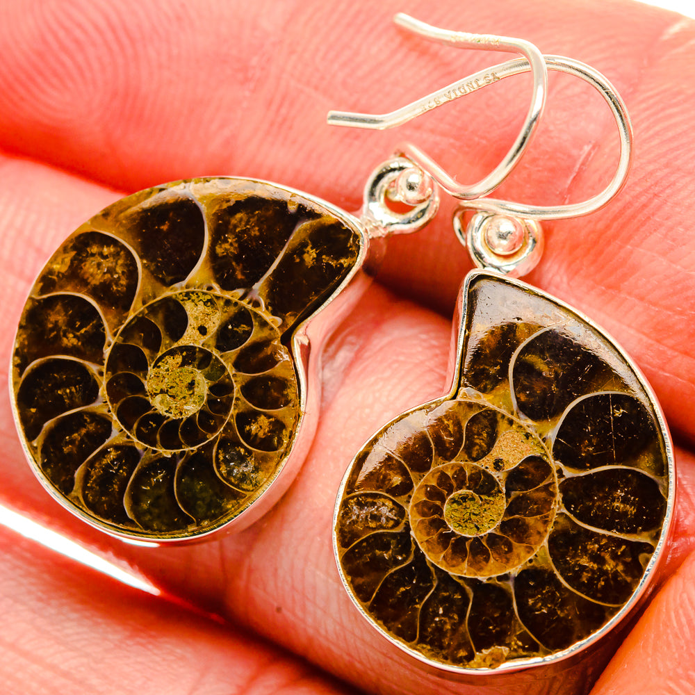 Ammonite Fossil Earrings 1 1/2" (925 Sterling Silver) EARR432065