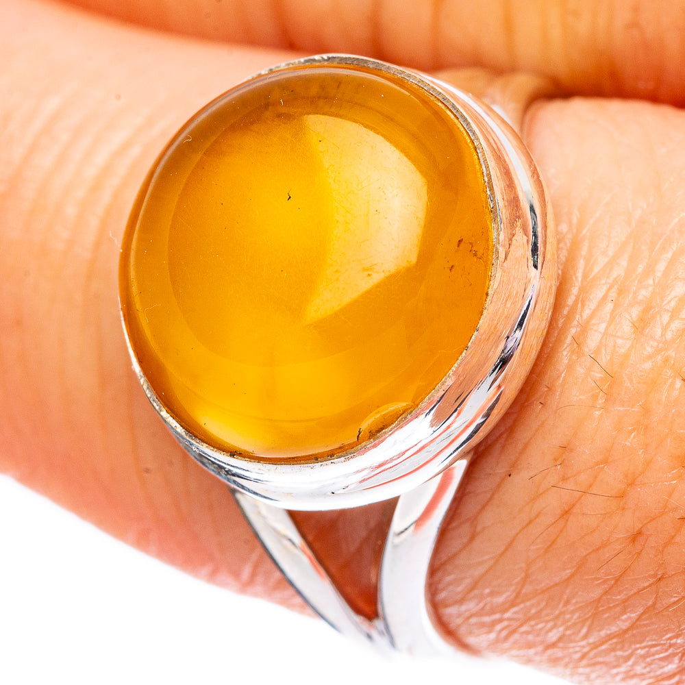 Baltic Amber 925 Sterling Silver Ring Size 8.25 (925 Sterling Silver) R3847