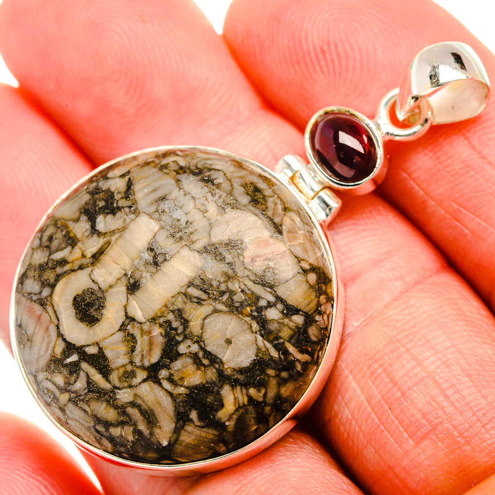 Crinoid Fossil, Garnet 925 Sterling Silver Pendant 2" (925 Sterling Silver) PD38438