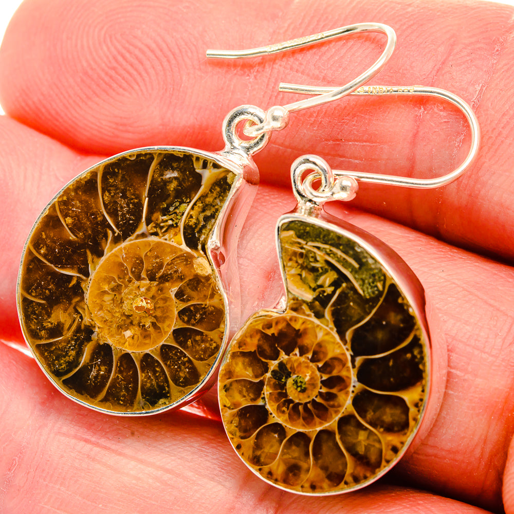 Ammonite Fossil Earrings 1 1/2" (925 Sterling Silver) EARR432116