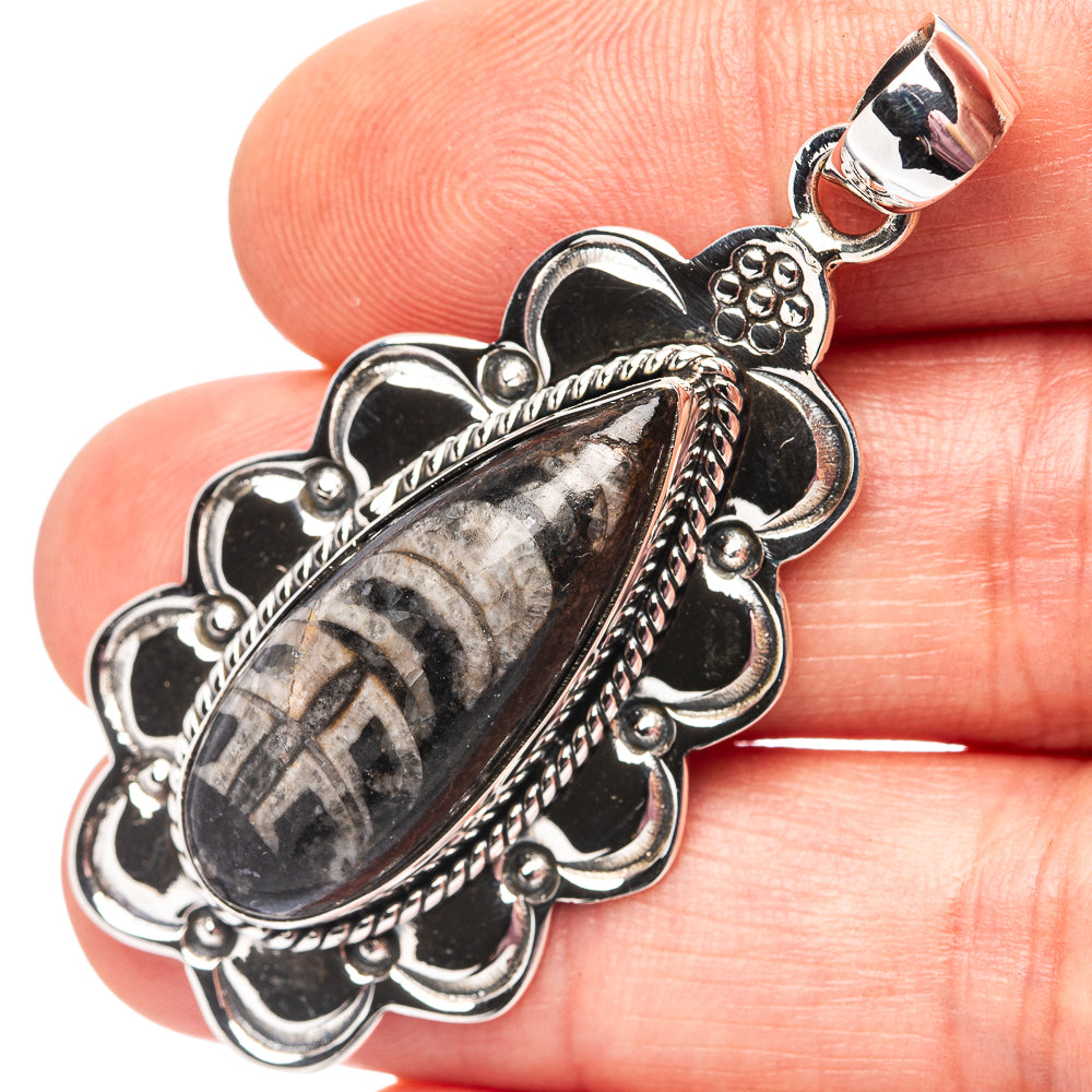 Premium Orthoceras Fossil Pendant 2" (.925 Sterling Silver)