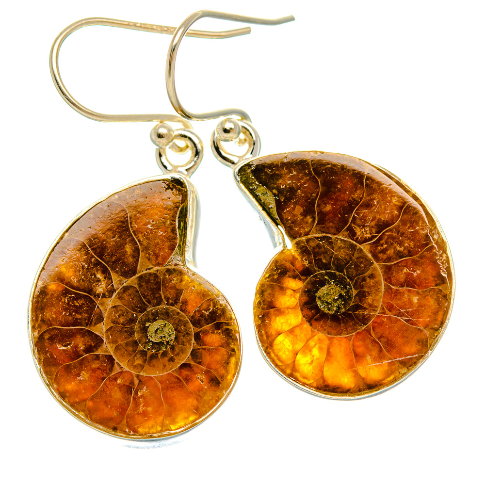 Ammonite Fossil Earrings 1 1/2" (925 Sterling Silver) EARR432058