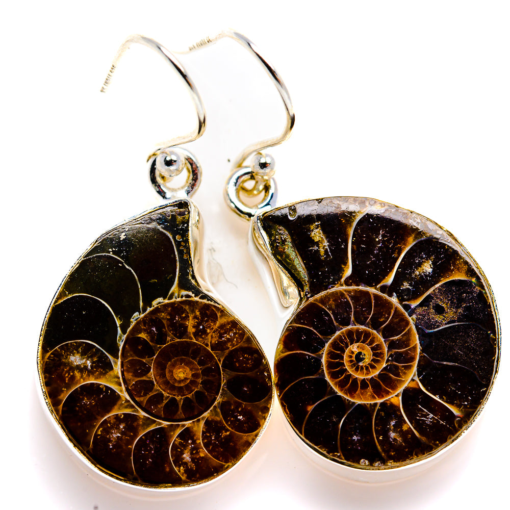 Ammonite Fossil Earrings 1 1/2" (925 Sterling Silver) EARR432111