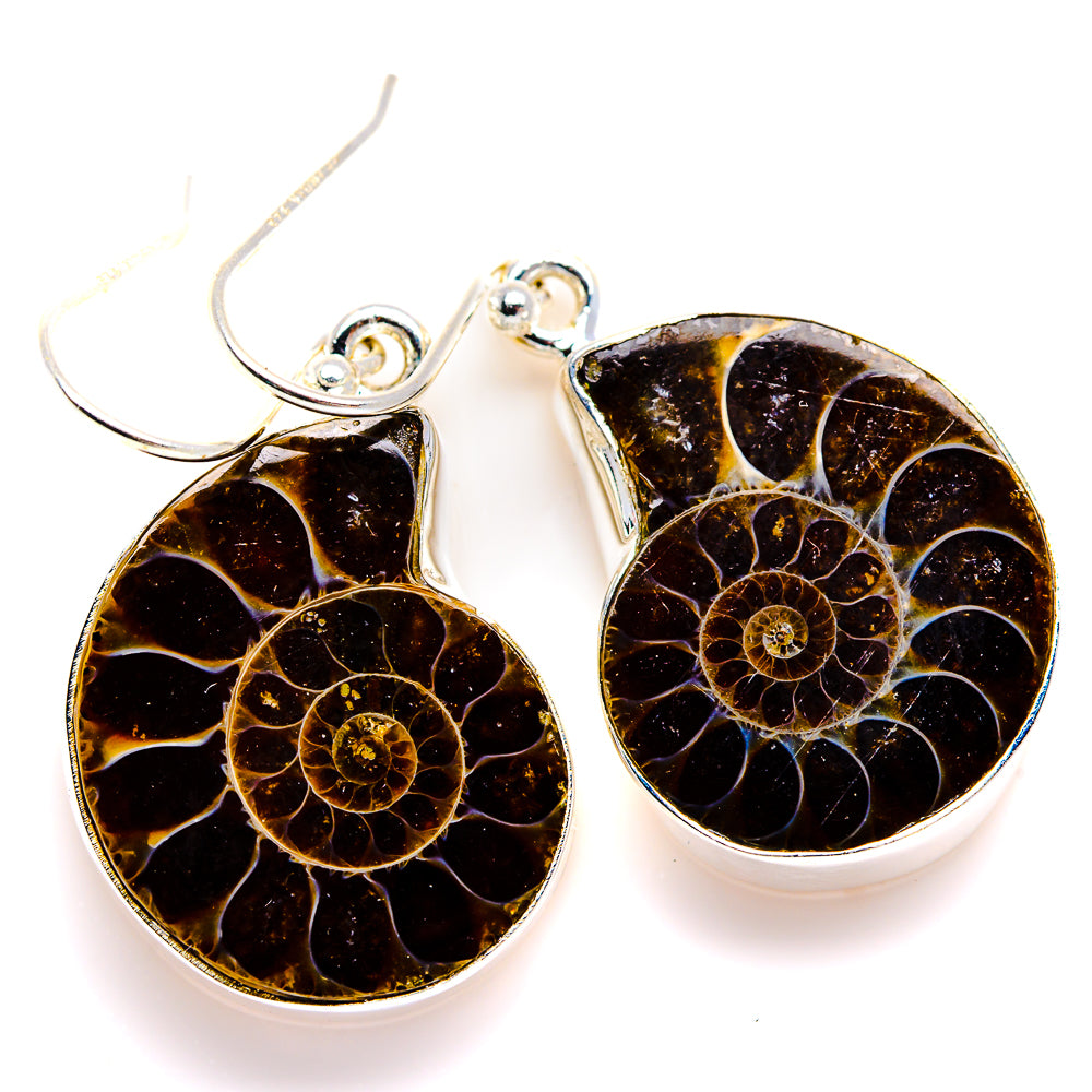 Ammonite Fossil Earrings 1 1/2" (925 Sterling Silver) EARR432081