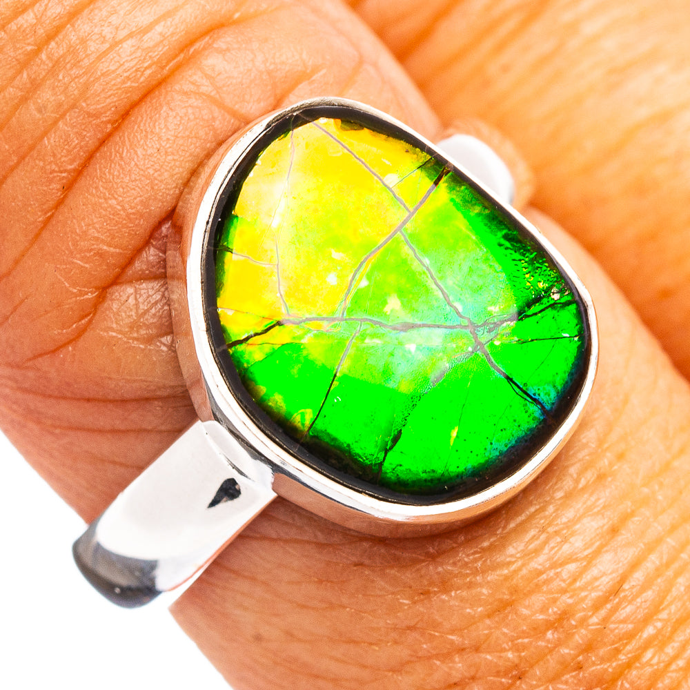Premium Canadian Ammolite Ring Size 8 (.925 Sterling Silver)