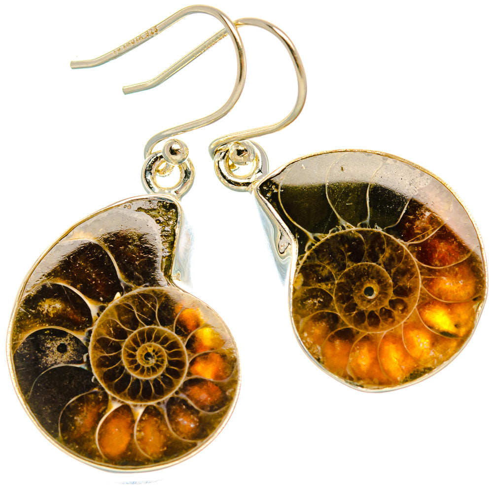 Ammonite Fossil Earrings 1 1/2" (925 Sterling Silver) EARR432057