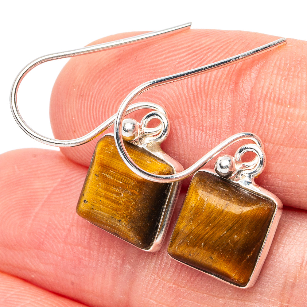 Tiger Eye Earrings 1 1/8" (925 Sterling Silver) E2952