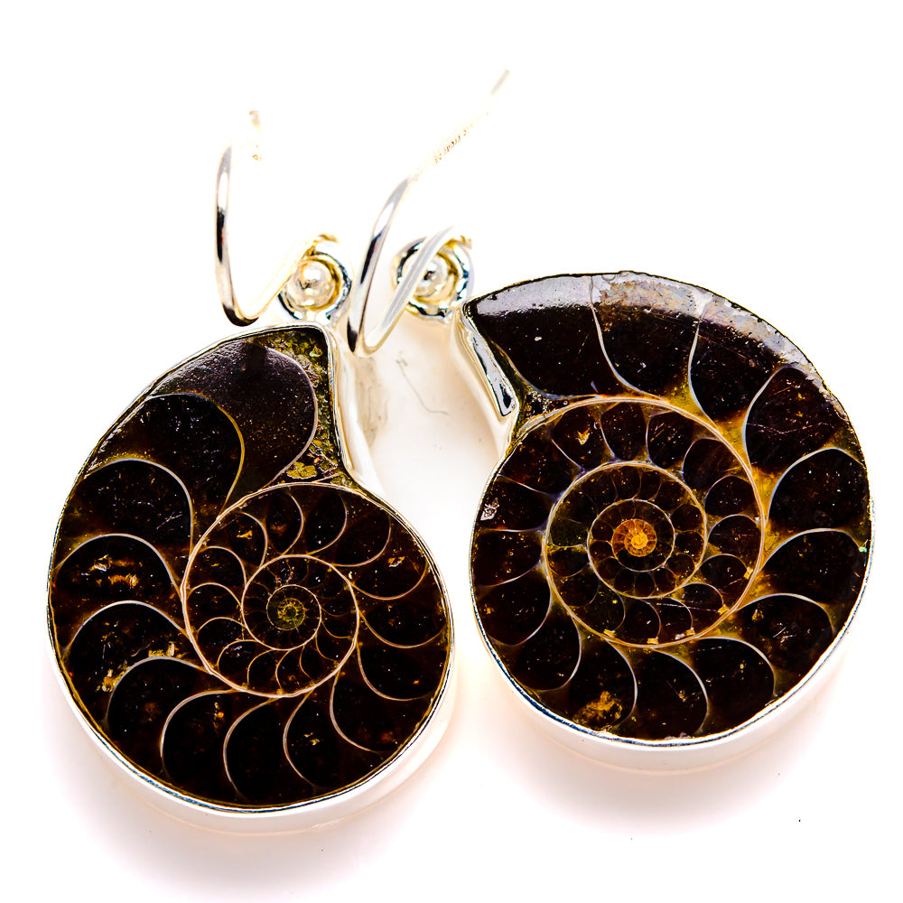 Ammonite Fossil Earrings 1 1/2" (925 Sterling Silver) EARR432093