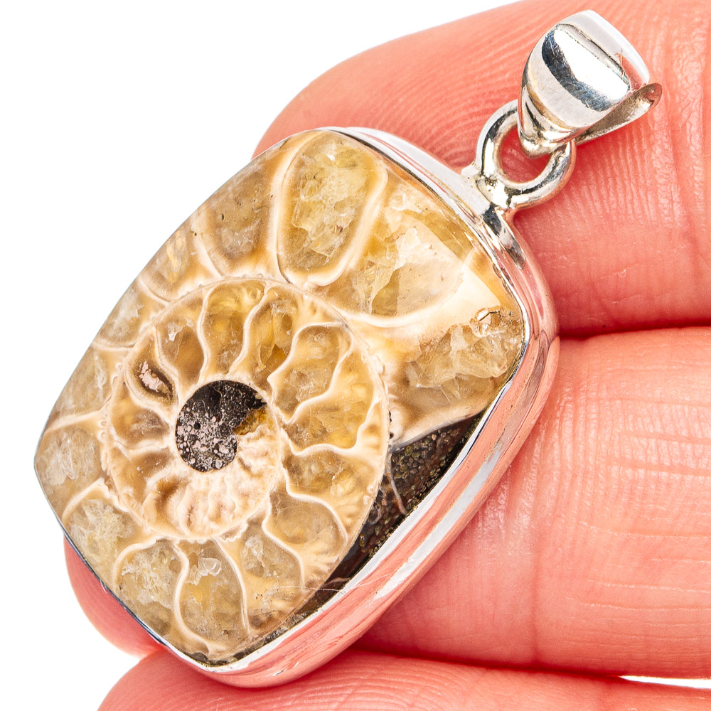 Ammonite Fossil Pendant 1 3/8" (.925 Sterling Silver)