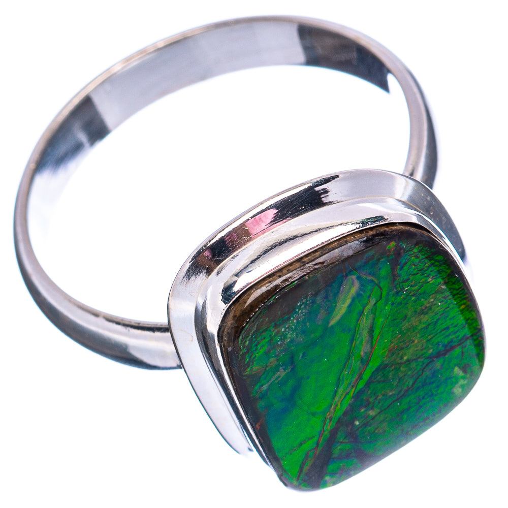 Premium Canadian Ammolite Ring Size 10 (.925 Sterling Silver)