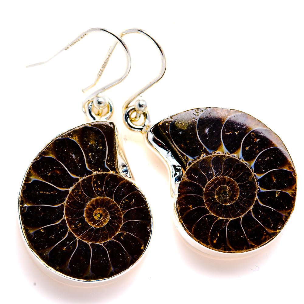 Ammonite Fossil Earrings 1 1/2" (925 Sterling Silver) EARR432097
