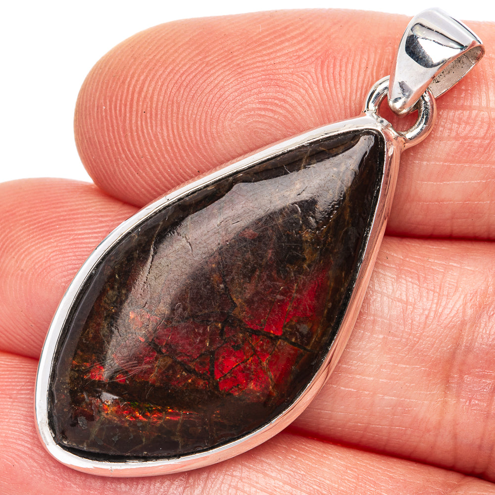 Rare Ammolite Pendant 1 5/8" (925 Sterling Silver) P41676