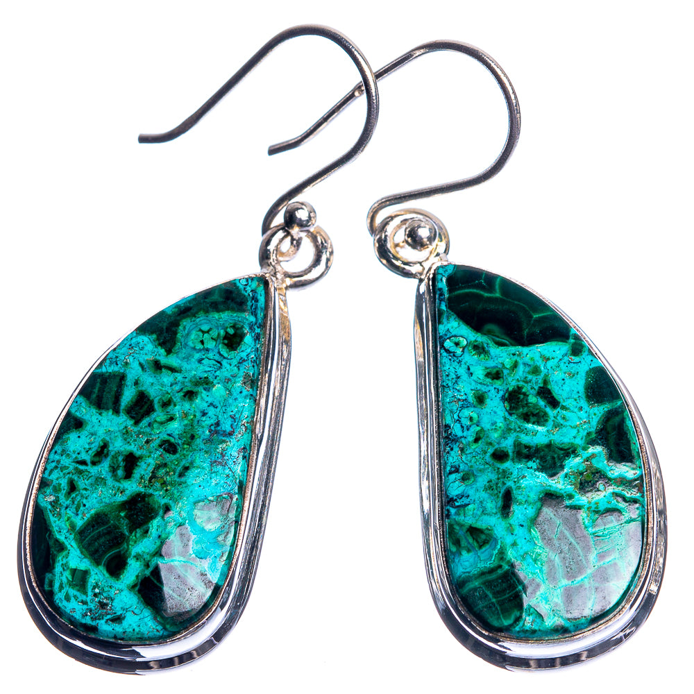 Malachite In Chrysocolla 925 Sterling Silver Earrings 1 5/8"