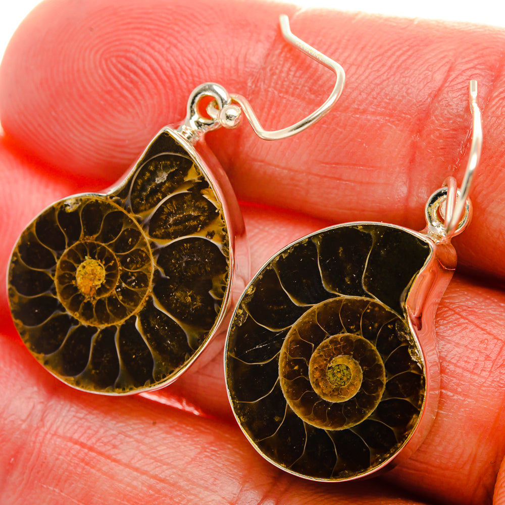 Ammonite Fossil Earrings 1 1/2" (925 Sterling Silver) EARR432003
