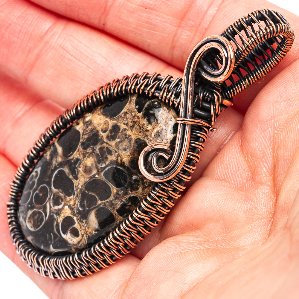 Turritella Agate Wire Wrap Pendant 2 5/8" (Oxidized Copper)