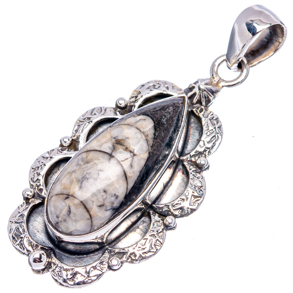 Premium Orthoceras Fossil Pendant 1 7/8" (.925 Sterling Silver)