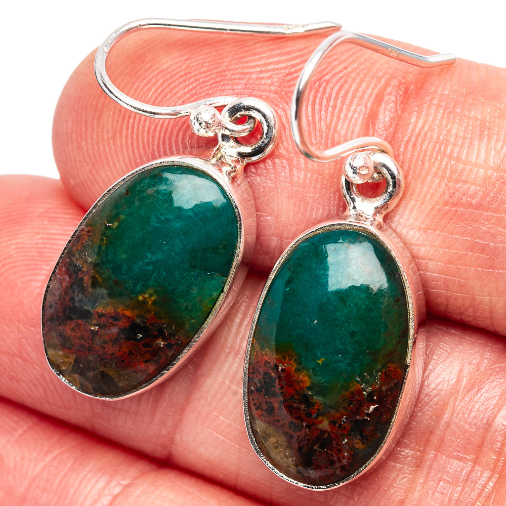 Rare Opalized Wood Earrings 1 1/4" (.925 Sterling Silver)