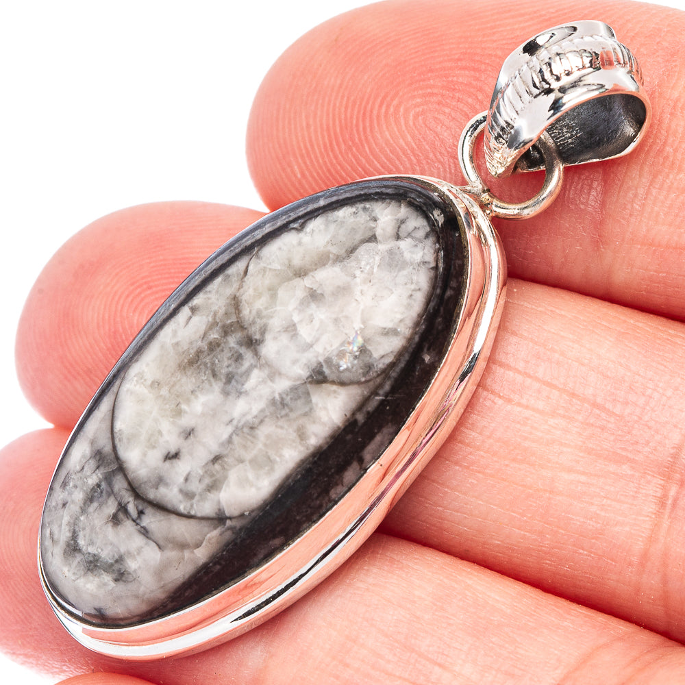Orthoceras Fossil Pendant 1 5/8" (925 Sterling Silver) P44476