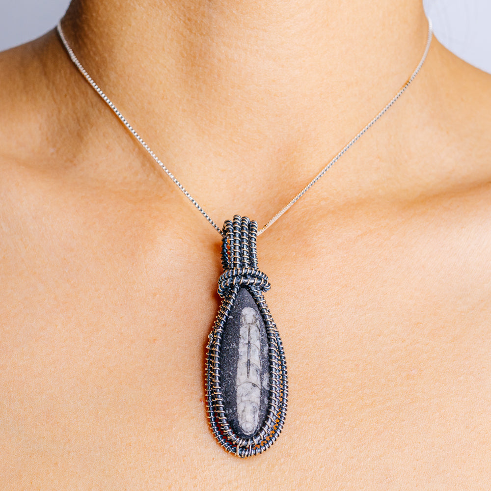 Large Orthoceras Fossil Pendant 2 5/8" (.925 Sterling Silver)
