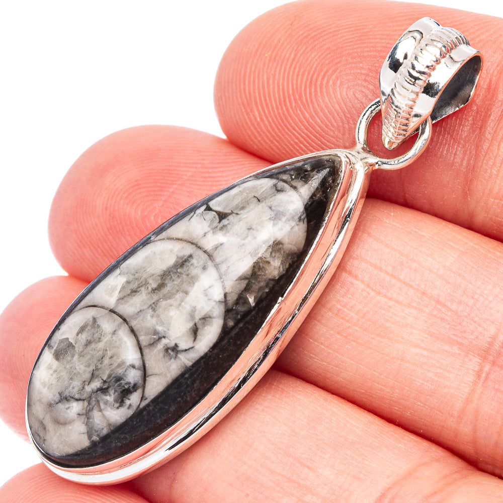Orthoceras Fossil Pendant 1 3/4" (925 Sterling Silver) P44477