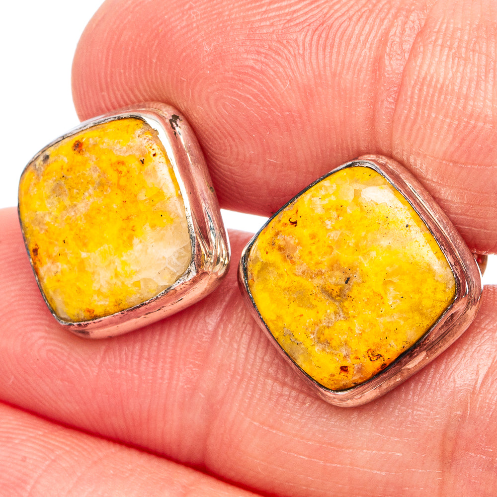 Bumblebee Jasper Earrings 1/2" (.925 Sterling Silver)
