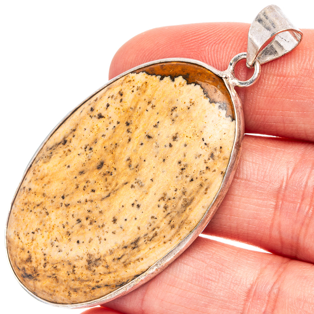 Picture Jasper Pendant 2 1/4" (Silver Plated)