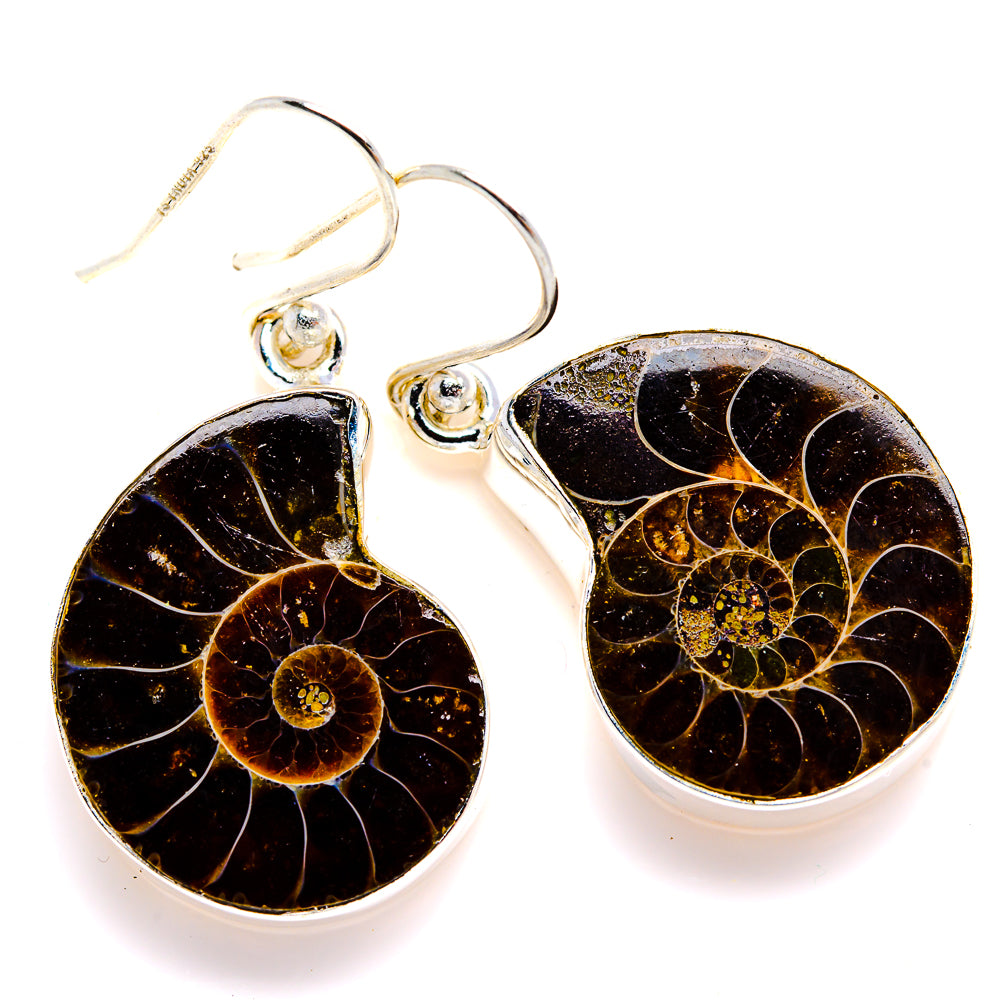 Ammonite Fossil Earrings 1 1/2" (925 Sterling Silver) EARR432117