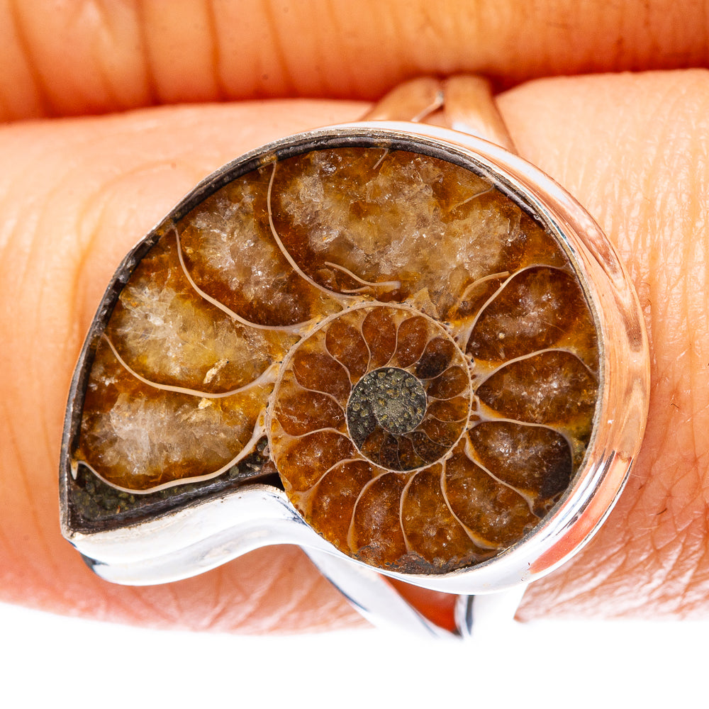 Ammonite Fossil 925 Sterling Silver Ring Size 8 (925 Sterling Silver) R3845