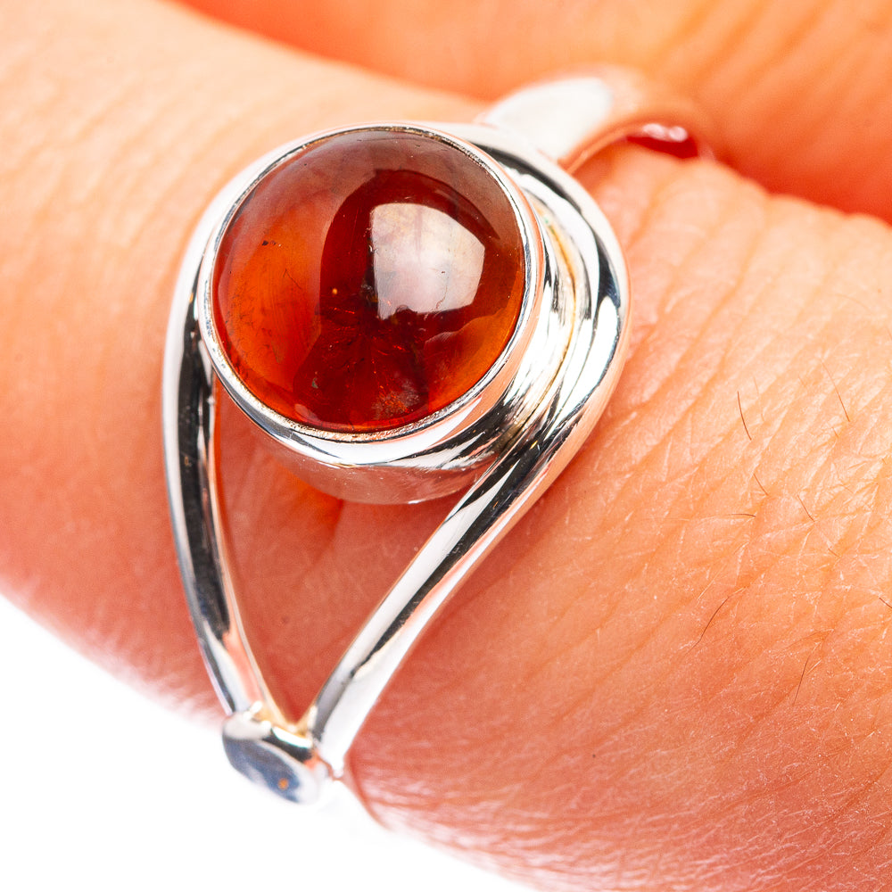 Baltic Amber Ring Size 9 (925 Sterling Silver) R142992