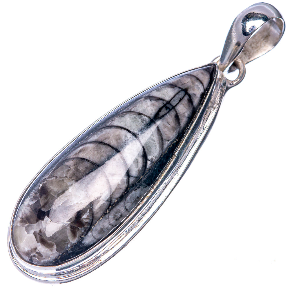 Orthoceras Fossil Pendant 1 3/4" (925 Sterling Silver) P40807