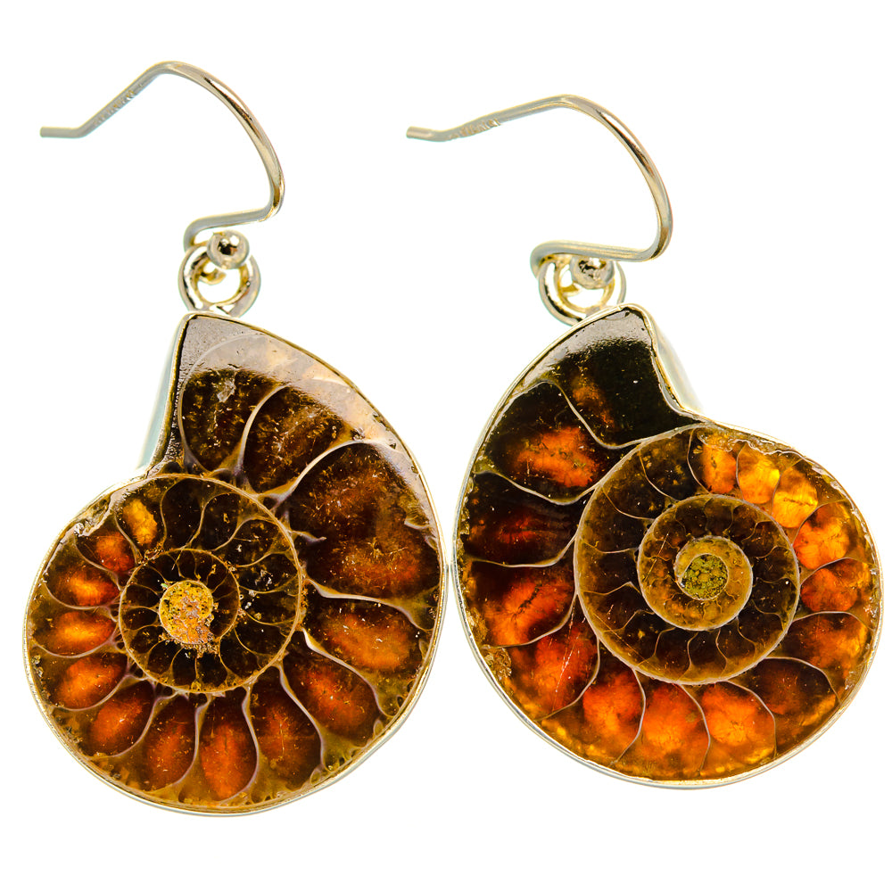 Ammonite Fossil Earrings 1 1/2" (925 Sterling Silver) EARR432003