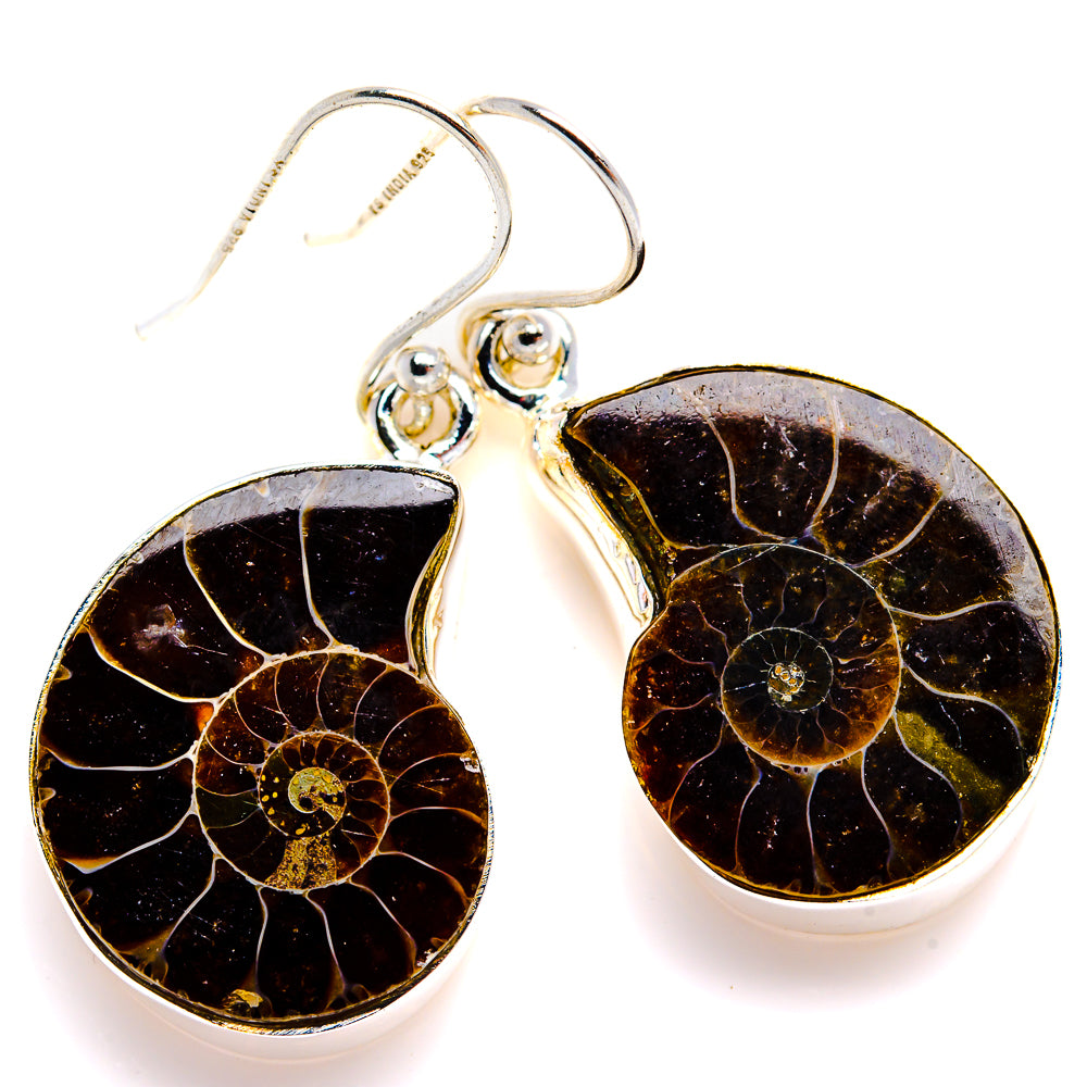 Ammonite Fossil Earrings 1 1/2" (925 Sterling Silver) EARR432106