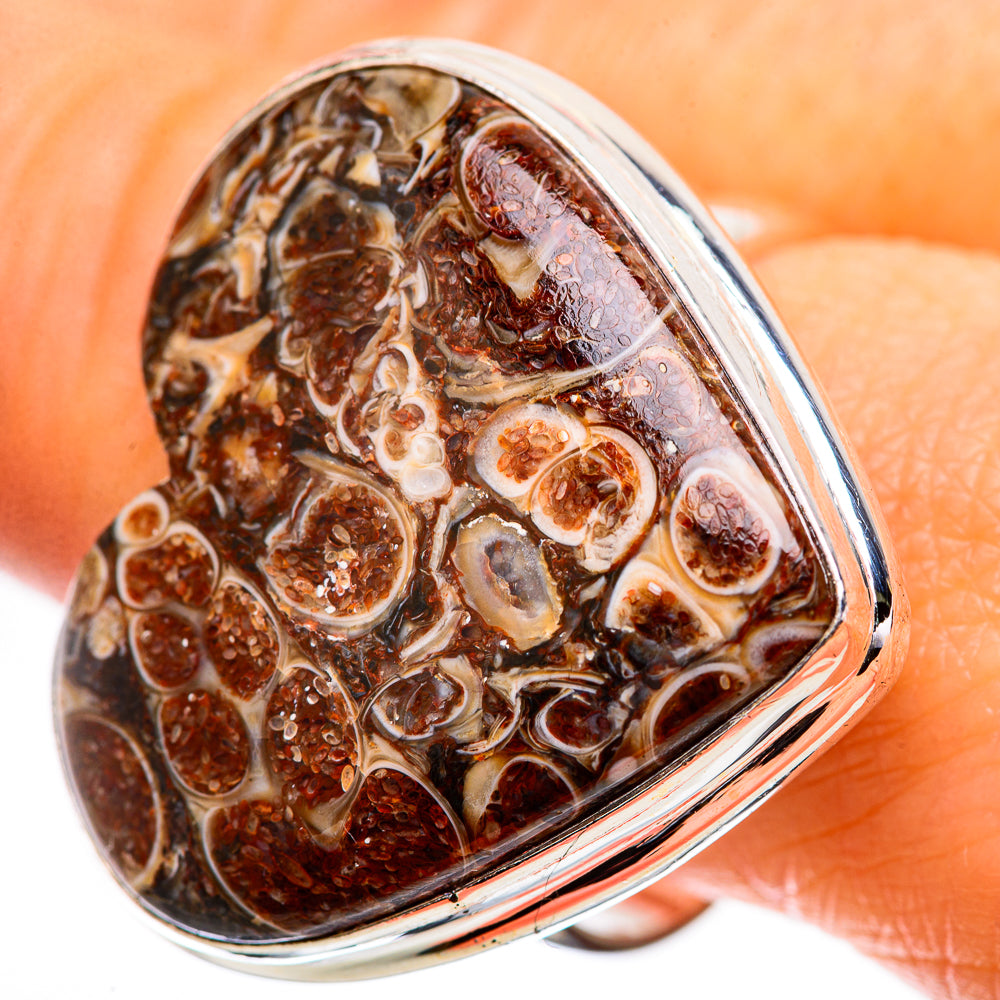 Large Turritella Agate Ring Size 10.75 (925 Sterling Silver) RING135950
