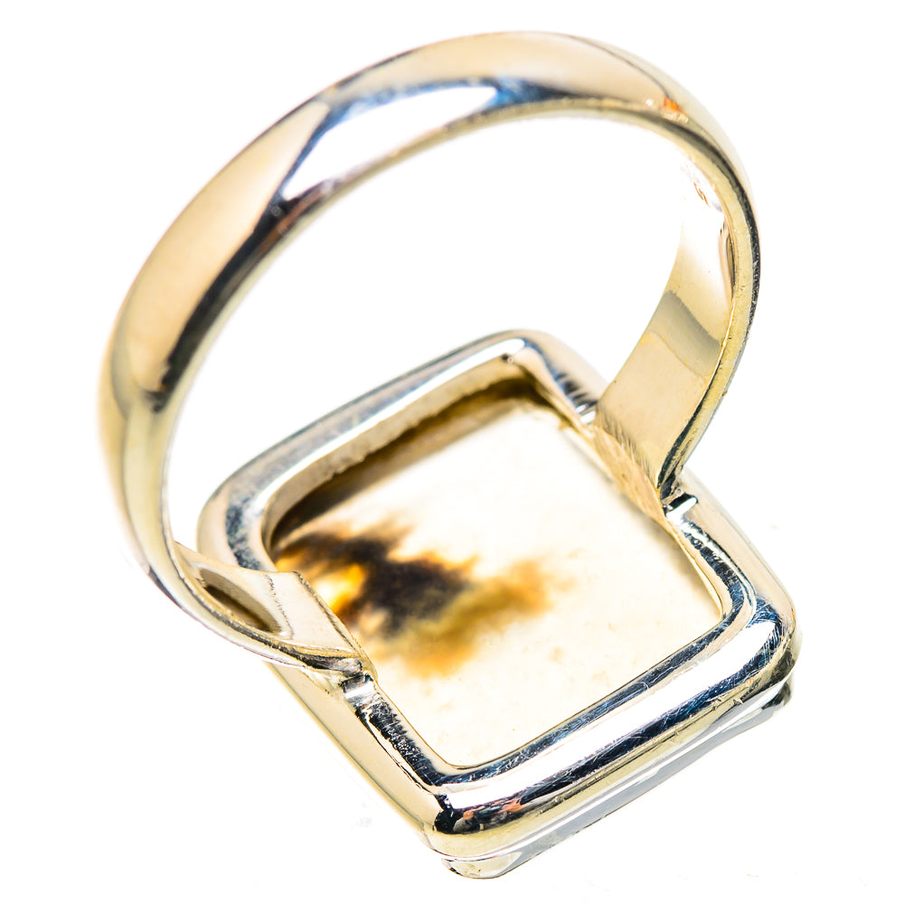 Scenic Dendritic Agate Ring Size 8 (925 Sterling Silver) RING135508