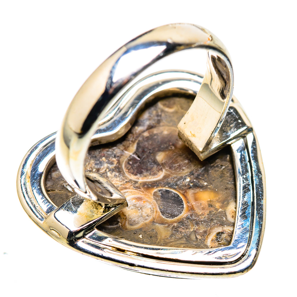 Large Turritella Agate Ring Size 6.25 (925 Sterling Silver) RING136120