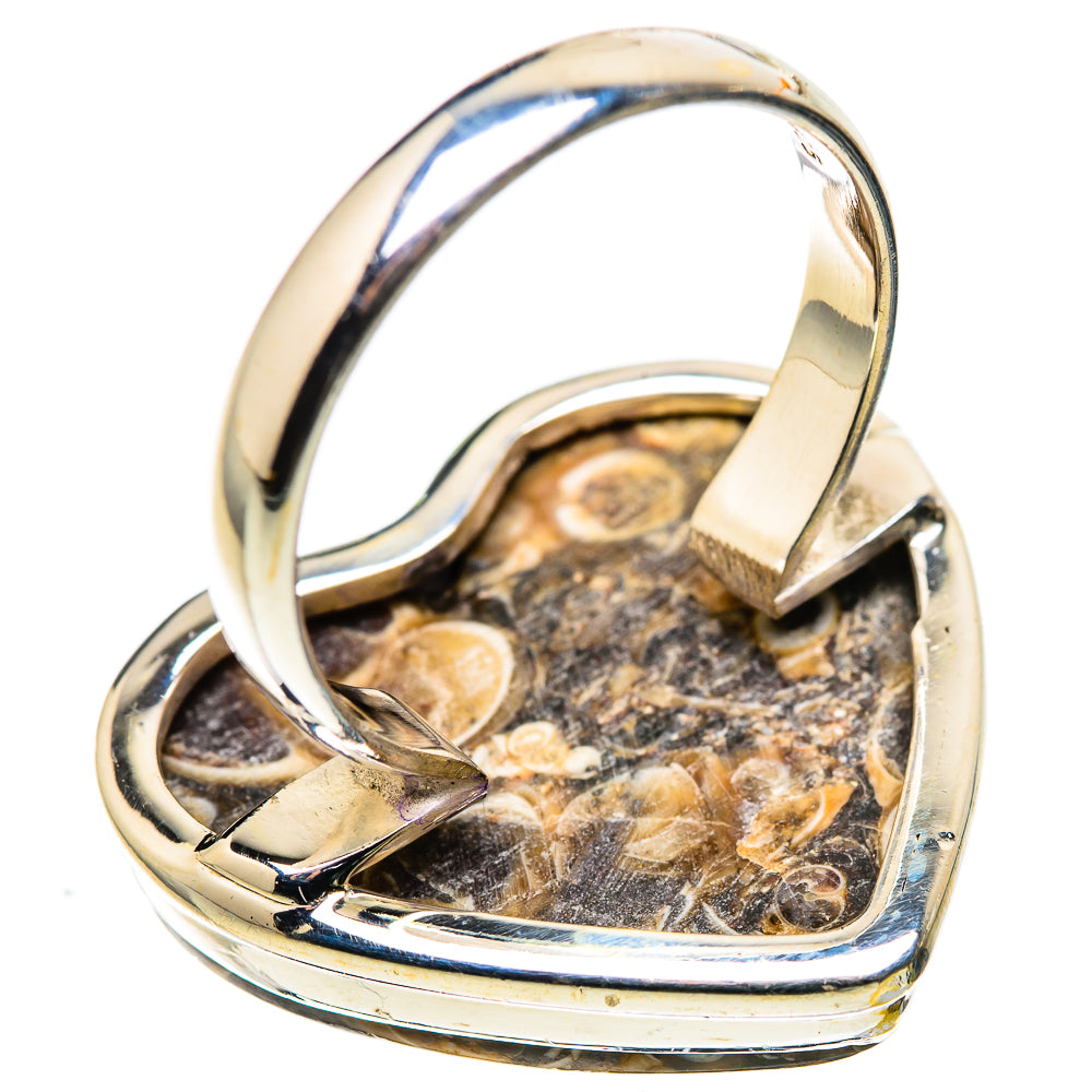 Large Turritella Agate Ring Size 10.75 (925 Sterling Silver) RING136163