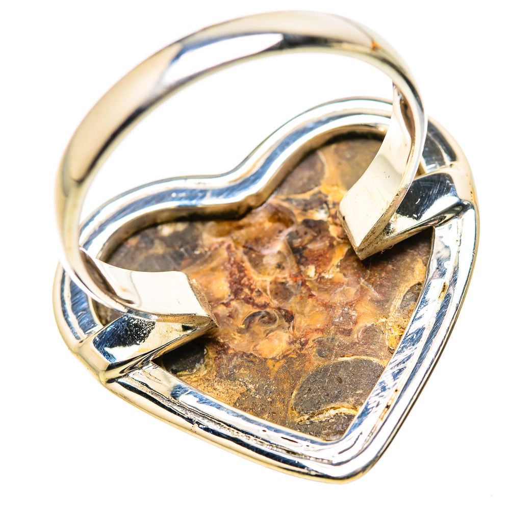 Large Turritella Agate Ring Size 10.75 (925 Sterling Silver) RING134733